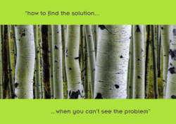 “how to find the solution... ...when you can’t see the problem”