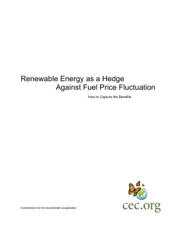 Renewable Energy as a Hedge Against Fuel Price Fluctuation