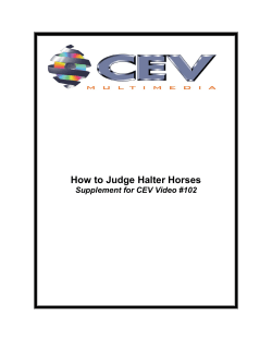 How to Judge Halter Horses Supplement for CEV Video #102