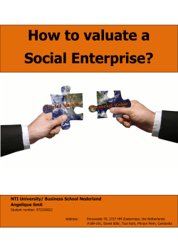 How to valuate a Social Enterprise?  NTI University/ Business School Nederland