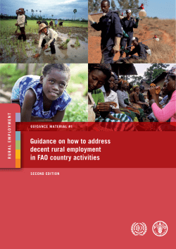 Guidance on how to address decent rural employment in FAO country activities T