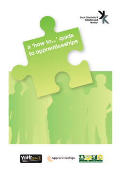 a &lsquo;how to...&rsquo; guide enticeships to appr