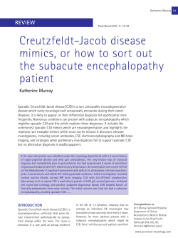 Creutzfeldt–Jacob disease mimics, or how to sort out the subacute encephalopathy patient
