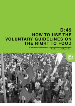 D:49 HOW TO USE THE VOLUNTARY GUIDELINES ON THE RIGHT TO FOOD