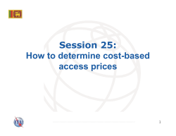 Session 25: How to determine cost-based access prices 1