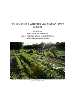 How to Maintain a Sustainable Low-Input CSA Farm in Colorado