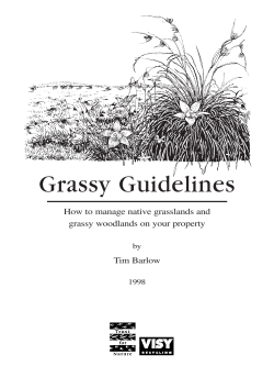 Grassy Guidelines How to manage native grasslands and Tim Barlow