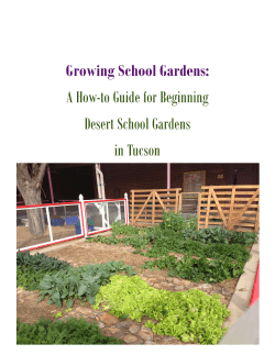 Growing School Gardens: A How-to Guide for Beginning Desert School Gardens in Tucson