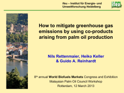 How to mitigate greenhouse gas emissions by using co-products