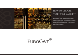 How to cHoose your wine  cabinet?