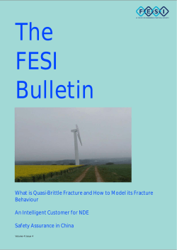 The FESI Bulletin
