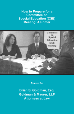 How to Prepare for a Committee on Special Education (CSE) Meeting: A Primer
