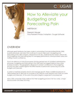 How to Alleviate your Budgeting and Forecasting Pain OVERVIEW