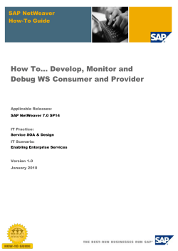 How To... Develop, Monitor and Debug WS Consumer and Provider SAP NetWeaver