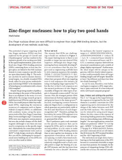 Zinc-finger nucleases: how to play two good hands special feature