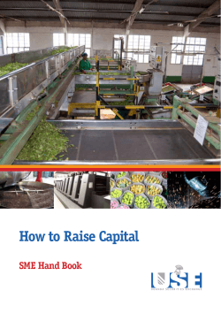 How to Raise Capital SME Hand Book