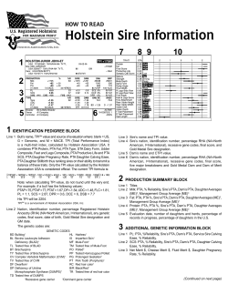 Holstein Sire Information 7 8 9 10