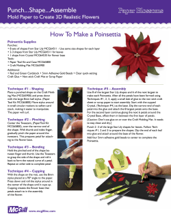 How To Make a Poinsettia Punch...Shape...Assemble Poinsettia Supplies
