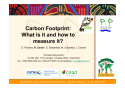 Carbon Footprint: What is it and how to measure it? R. Cerda