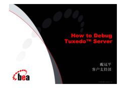 How to Debug Tuxedo&trade; Server 戴冠平 客户支持部