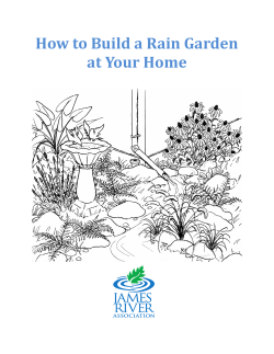 How to Build a Rain Garden at Your Home