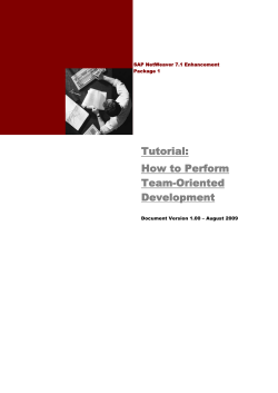 Tutorial: How to Perform Team-Oriented Development
