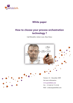 White paper How to choose your process orchestration technology ?