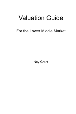 Valuation Guide  For the Lower Middle Market Ney Grant
