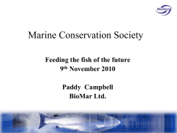 Marine Conservation Society Feeding the fish of the future 9 November 2010