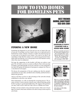 HOW TO FIND HOMES FOR HOMELESS PETS BEST FRIENDS ANIMAL SANCTUARY