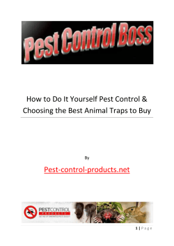 How to Do It Yourself Pest Control &amp;  Pest-control-products.net
