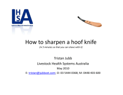 How to sharpen a hoof knife How to sharpen a hoof knife Tristan Jubb Livestock Health Systems Australia