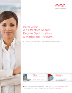 An Effective Search Engine Optimization &amp; Marketing Program How to Launch