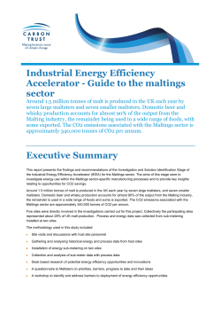 Industrial Energy Efficiency Accelerator - Guide to the maltings sector