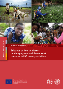 Guidance on how to address rural employment and decent work T