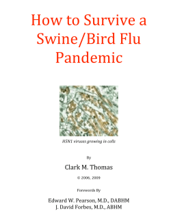 How to Survive a  Swine/Bird Flu  Pandemic   