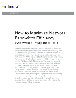 How to Maximize Network Bandwidth Efficiency (And Avoid a “Muxponder Tax”)