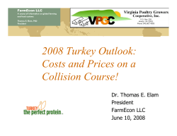 2008 Turkey Outlook: Costs and Prices on a Collision Course!