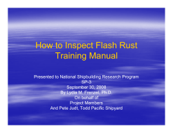 How to Inspect Flash Rust Training Manual