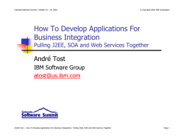 How To Develop Applications For Business Integration André Tost