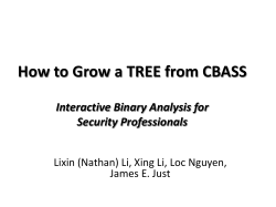 How to Grow a TREE from CBASS  Interactive Binary Analysis for
