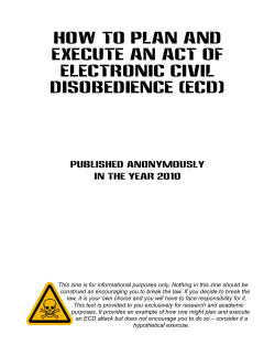 How To Plan and Execute an Act of Electronic Civil Disobedience (ECD)