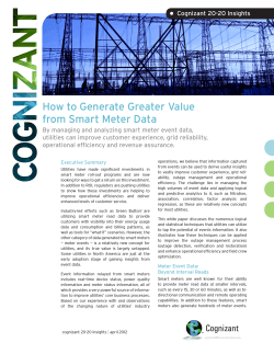 How to Generate Greater Value from Smart Meter Data •