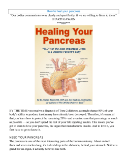 How to heal your pancreas