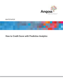 How to Credit Score with Predictive Analytics WHITEPAPER