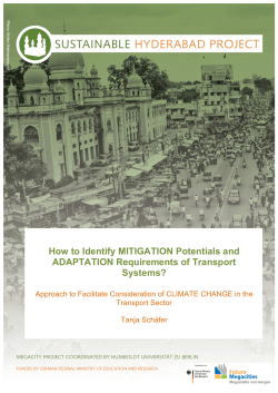 How to Identify MITIGATION Potentials and ADAPTATION Requirements of Transport Systems?