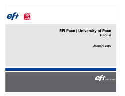 EFI Pace | University of Pace Tutorial  January 2009