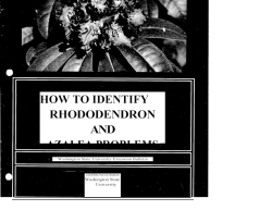 HOW TO IDENTIFY RHODODENDRON AND AZALEA PROBLEMS