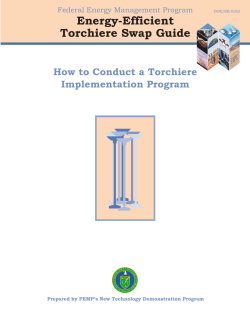 Energy-Efficient Torchiere Swap Guide How to Conduct a Torchiere Implementation Program
