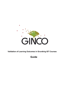 Guide Validation of Learning Outcomes in Grundtvig IST Courses